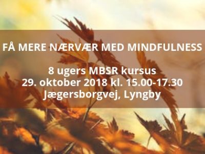 mindfulness lyngby mindfulness lyngby