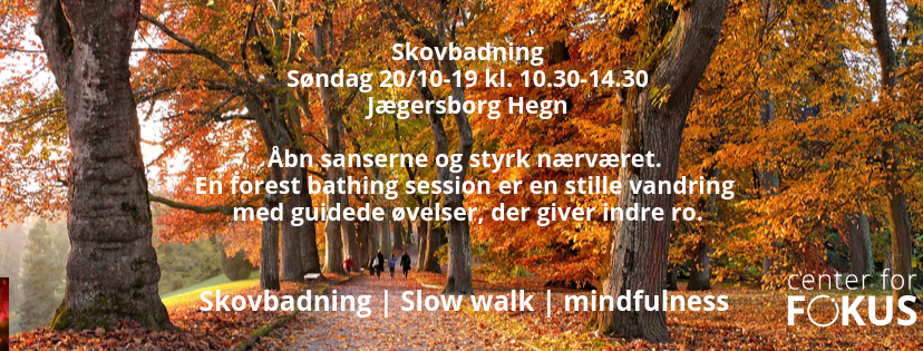 Skovbad oktober 219