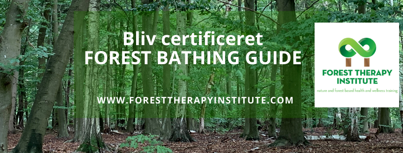 uddannelse forest bathing