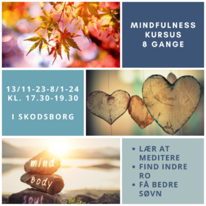 mindfulness kursus